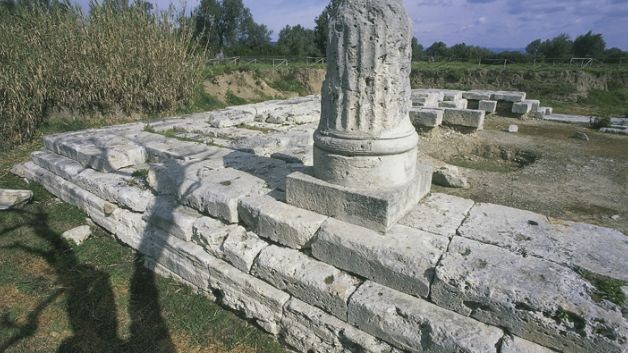 Museo di Locri: ''Dolce come miele. Cibo e convivialità'' - 