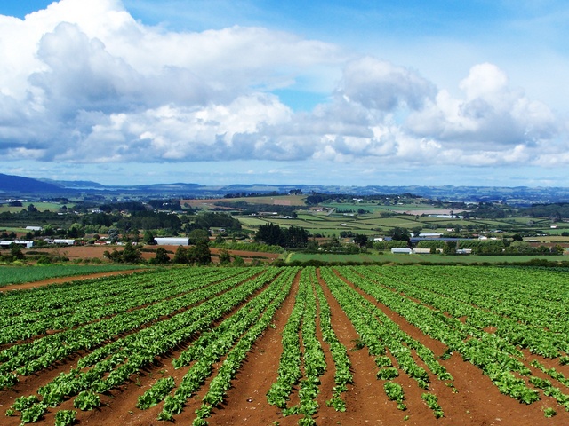 CONSUMO SUOLO AGRICOLO: PER LA CISL E URGENTE APPROVARE LA NORMATIVA REGIONALE DI SALVAGUARDIA PER EVITARE ULTERIORI DANNI AL TERRITORIO E ALLAMBIENTE CALABRESE. - 