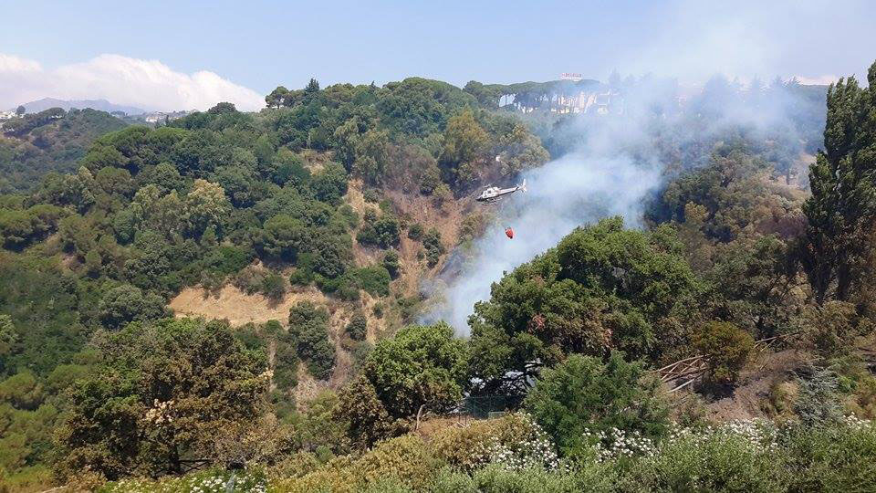 INCENDIO AL PARCO DELLA BIODIVERSITA' DI CATANZARO DI ORIGINE DOLOSA - 