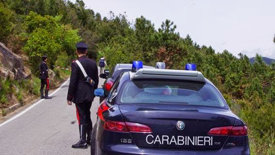 GRUPPO LOCRI: NEGLI ULTIMI DUE MESI SCOPERTE 20 PIANTAGIONI DI CANAPA - 