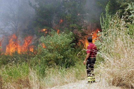 Pastore appicca incendio in un bosco, arrestato - 