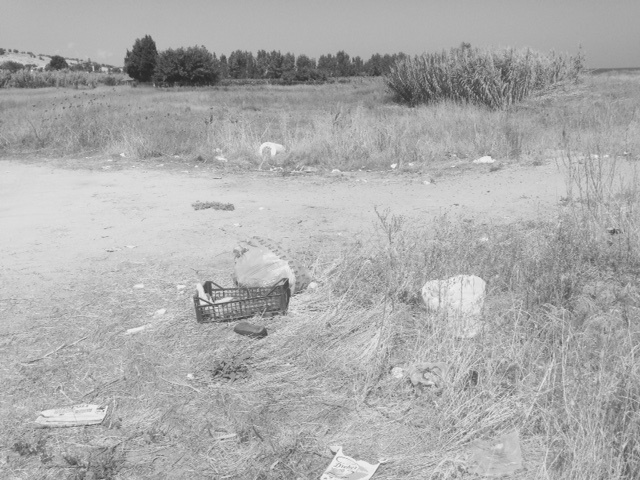 ALLARME ABBANDONO E TOMBAROLI AL PARCO ARCHEOLOGICO KAULON di MONASTERACE. A LANCIARLO SCARFO'-LANZETTA - 