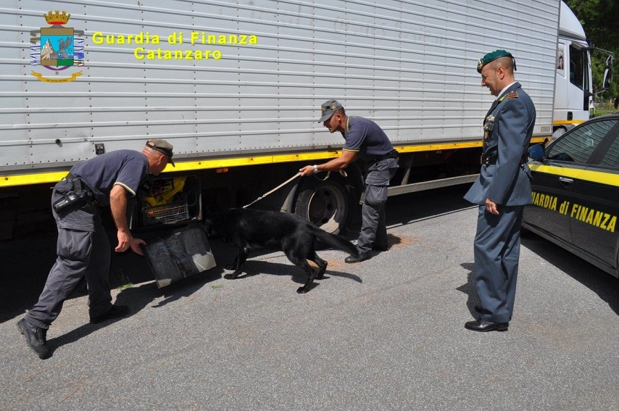 GUARDIA DI FINANZA: INGENTE SEQUESTRO DI EROINA A LAMEZIA TERME. ARRESTATO UN TRAFFICANTE DI STUPEFACENTI. - 