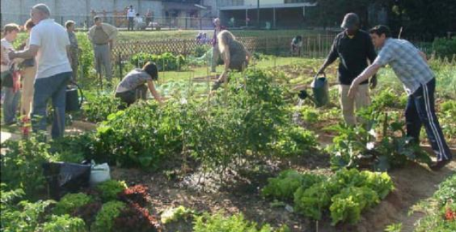 'ORTO IN CONDOTTA' A SIDERNO PER LA REALIZZAZIONE DEGLI ORTI URBANI - 