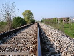 Smantellamento ferroviario in Calabria: il professor Gattuso e il Ciufer lanciano una manifestazione e petizione - 