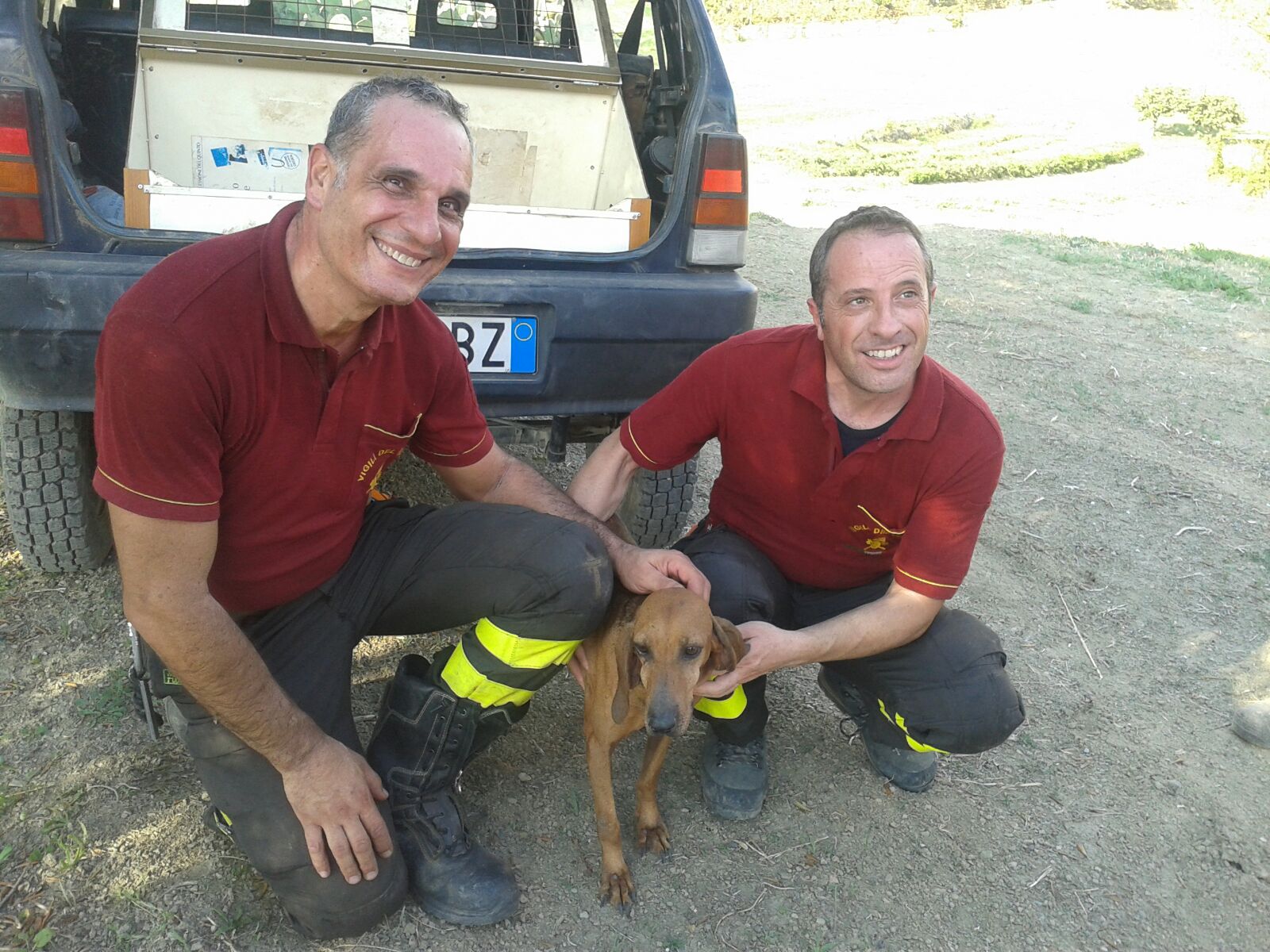 CANE PRECIPITA IN DIRUPO: SALVATO DAI VIGILI DEL FUOCO - 