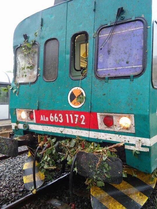 Sant'Ilario dello Jonio: treno regionale urta albero caduto sulle rotaie causa maltempo (foto) - 