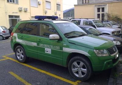 Strada abusiva su area boscata, cinque denunce - 