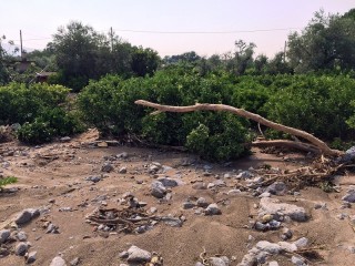 ALLUVIONE CALABRIA: ALL'AGRICOLTURA IL NUBIFRAGIO COSTA 27 MILIONI DI EURO - 