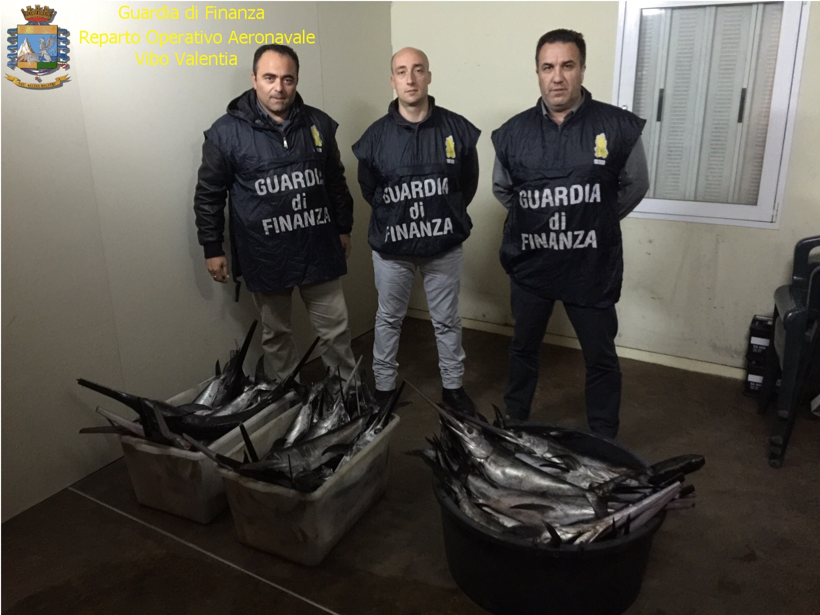 LA SEZIONE OPERATIVA NAVALE DELLA GUARDIA DI FINANZA DI ROCCELLA IONICA (RC), SEQUESTRA UN QUINTALE  DI PESCE SPADA SOTTO MISURA. - 