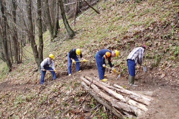 Legge di Stabilità: 20 milioni per i forestali calabresi - 