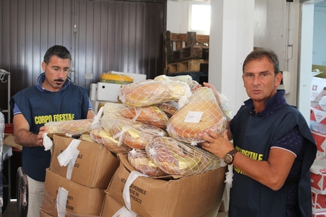 Sequestrati 60 chili di alimenti trasportati con scarsa igiene - 