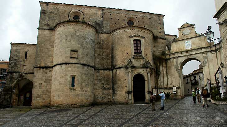 Domani 'Loliva grossa di Gerace in festa' dove verrà regalato un alberello d'ulivo a tutti i bambini nati tra 2014-2015 - 