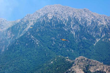 Furto di legna nell'area Parco Pollino, quattro denunce  - 