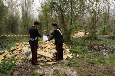 Incendiano rifiuti, denunciati impiegati - 