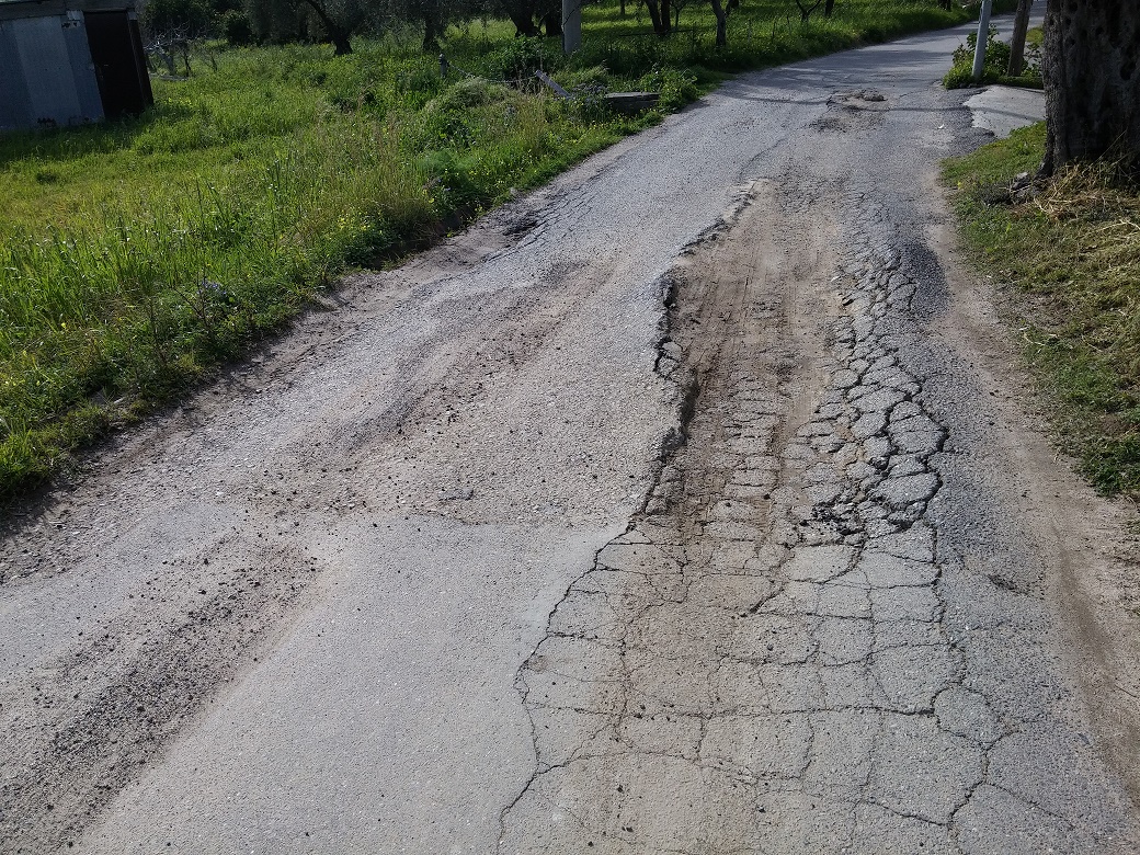 Via Santa Tecla: il cavallo di due muore assetato - 