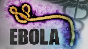 EBOLA, UN PERICOLO QUI' DA NOI? RISPONDONO I MEDICI - 