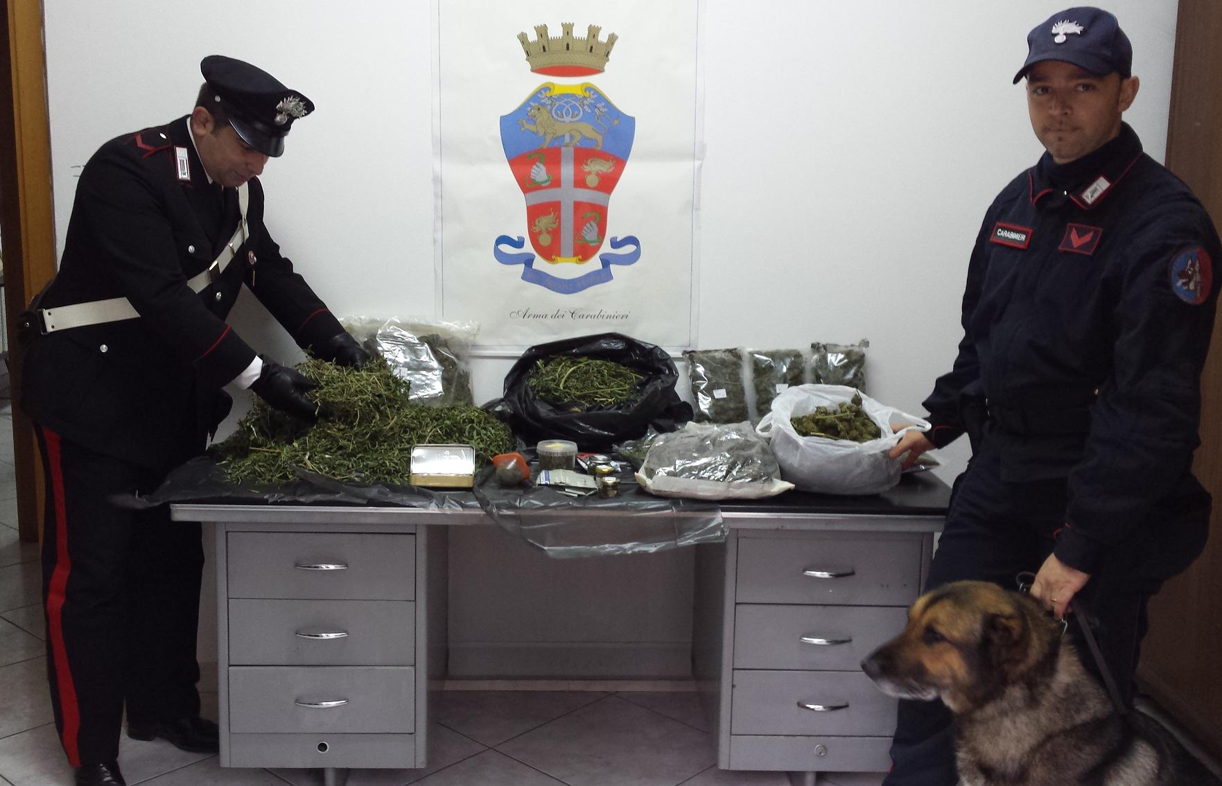 Il cane Ergos fiuta la droga in casa, arrestati 2 fratelli per spaccio di droga. - 