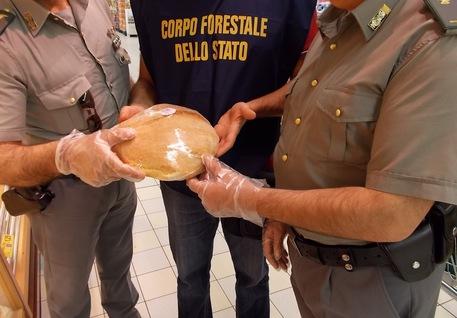 SEQUESTRATI 4 QUINTALI DI ALIMENTI NEL REGGINO - 