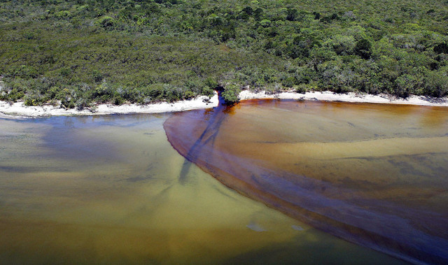 Cala vendita pesticidi ma in acque alto 'cocktail' chimico - 