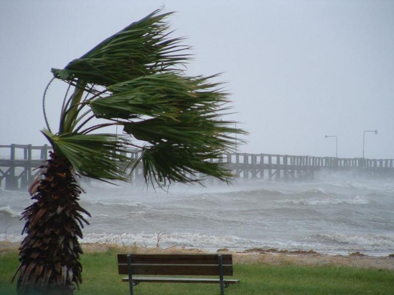 Maltempo: allerta venti forti in Calabria - 