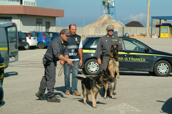 Droga: Gdf scopre organizzazione legata a 'ndrine. Operazione in più città, 16 misure cautelari,sequestro 280kg coca. - 