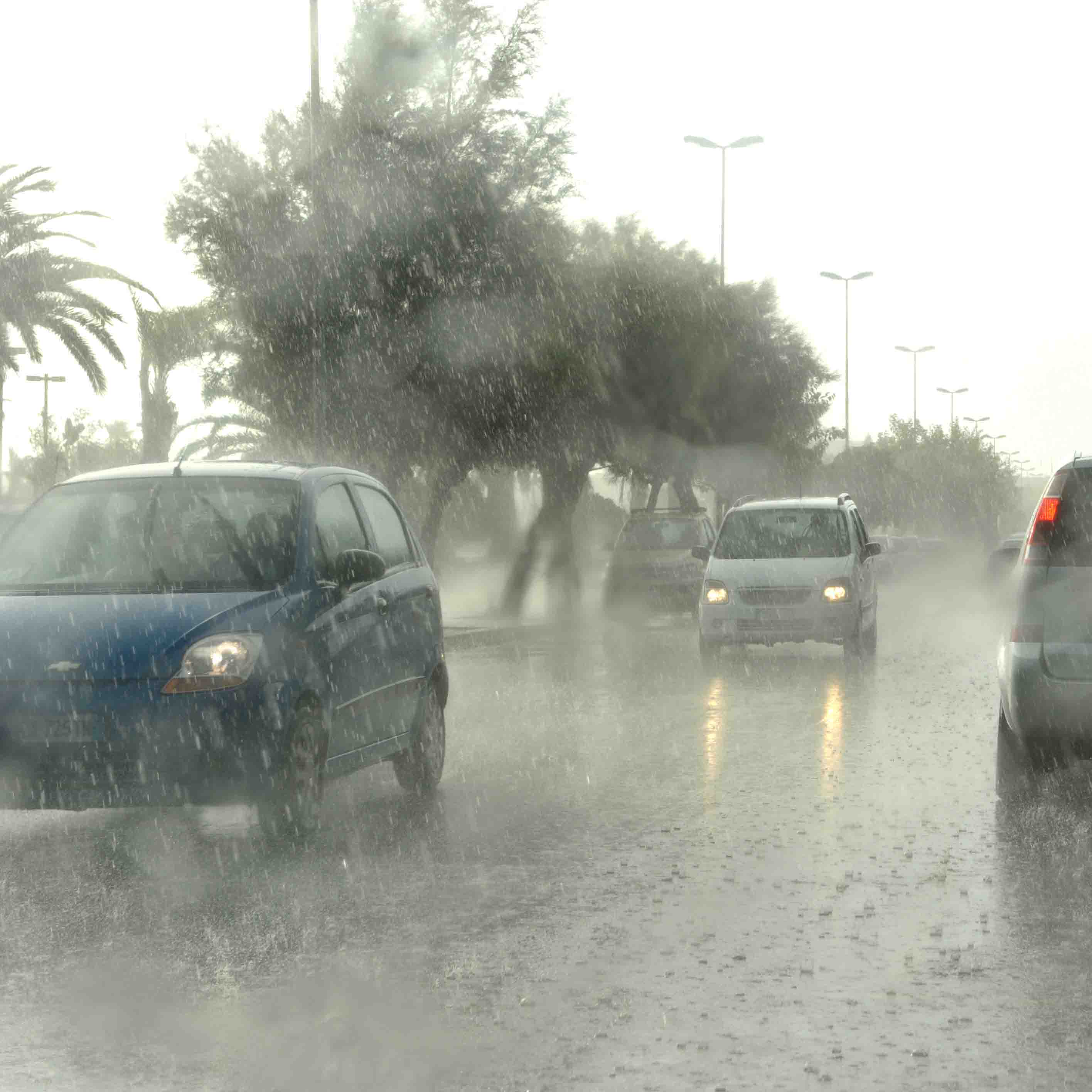 Maltempo:pioggia e vento forte in Calabria, calo temperature. Nevica in Sila e Aspromonte. Impianti aperti a Camigliatello  - 