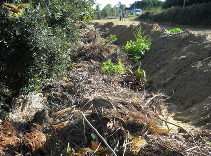 Interravano rifiuti manutenzione verde urbano, tre denunce  - 