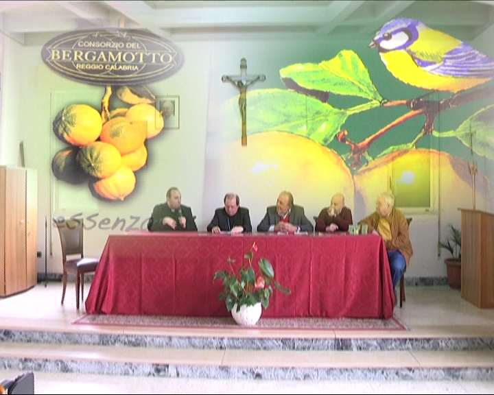 LOCRI: DONATA A TUTTE LE DIOCESI D'ITALIA L'ESSENZA DI BERGAMOTTO CALABRESE - 