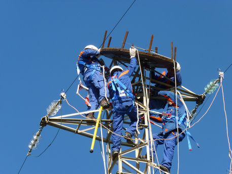 A Lamezia e Crotone progetto cicogna - 