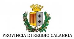 PROVINCIA RC: BIASI E DATTOLA ENTRANO IN GIUNTA - 