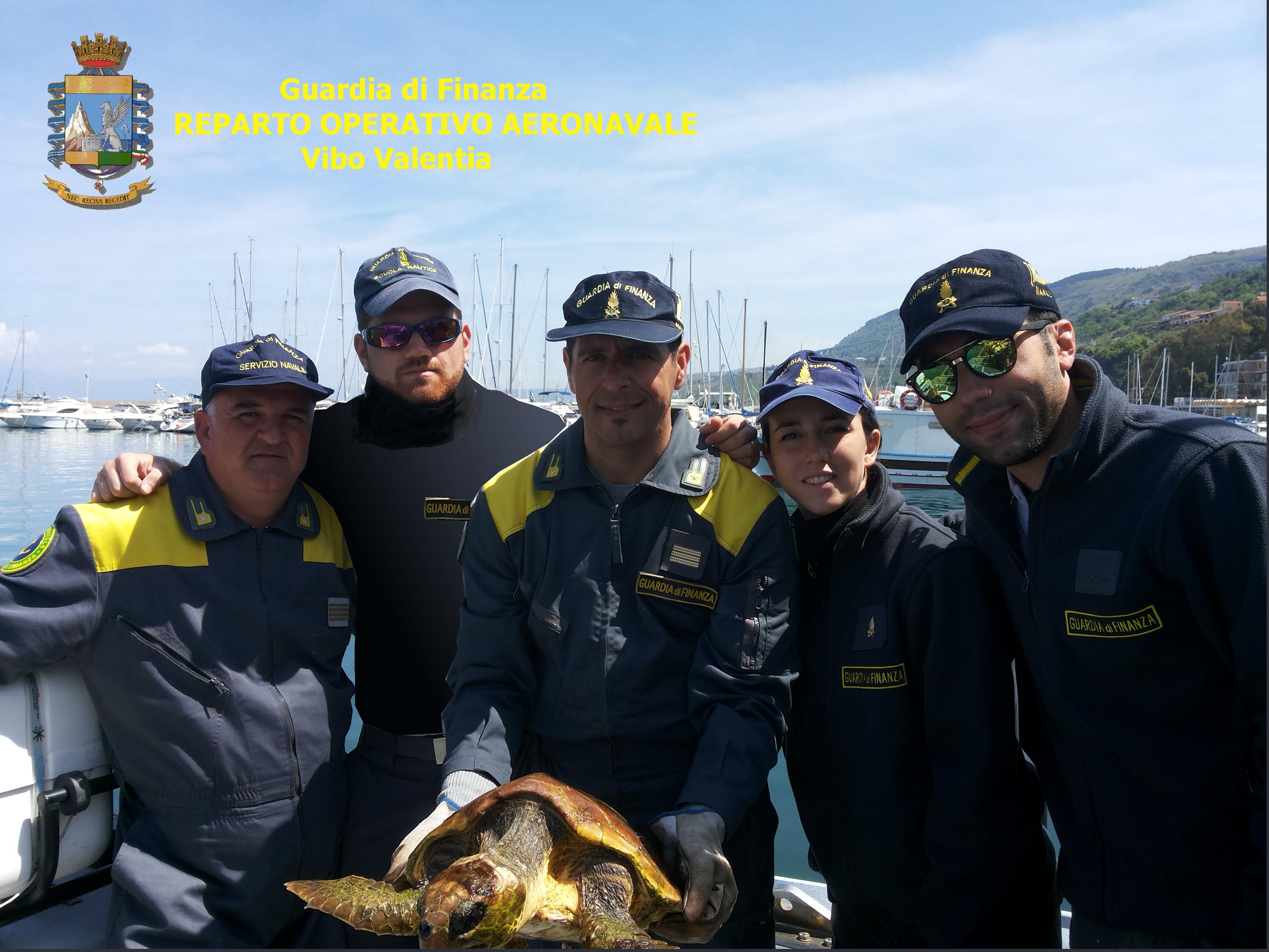 Salvato un'altro esemplare di tartaruga Caretta-Caretta - 