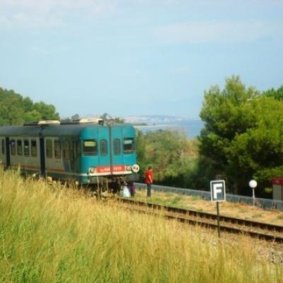 Africo: treno investì pecore, denunciati i proprietari del gregge - 