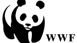  Vincenzo dAfrica nuovo Presidente del WWF provinciale di Reggio Calabria - 